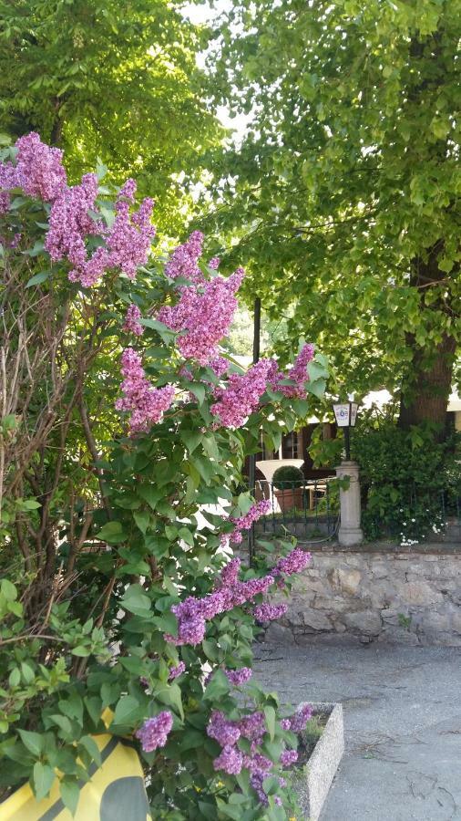 Gasthof Manhalter Pitten Bagian luar foto